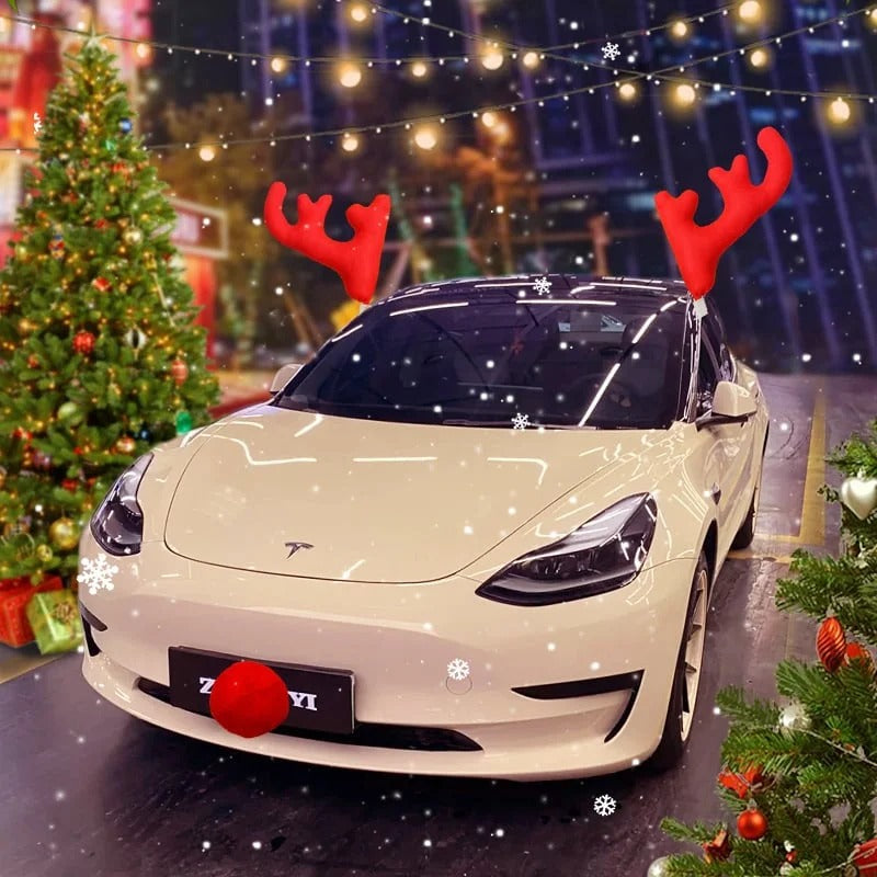 Vianočné parožie na auto