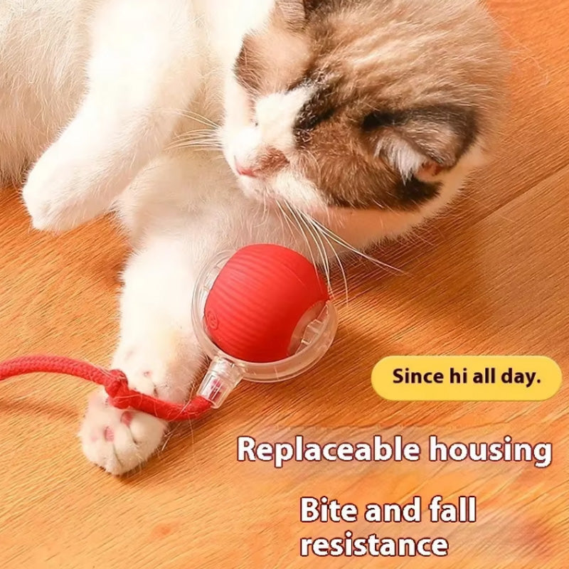 Pet Rolling Ball