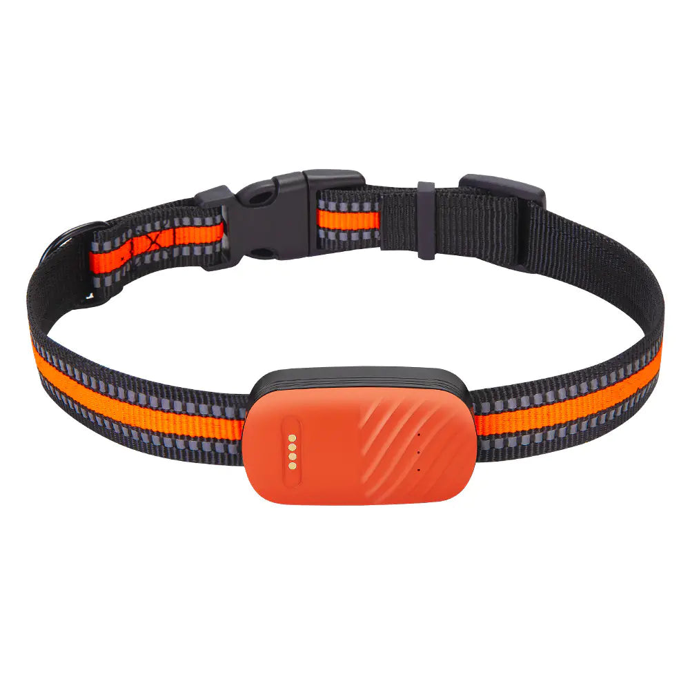 Intelligentes GPS-Halsband für Haustiere