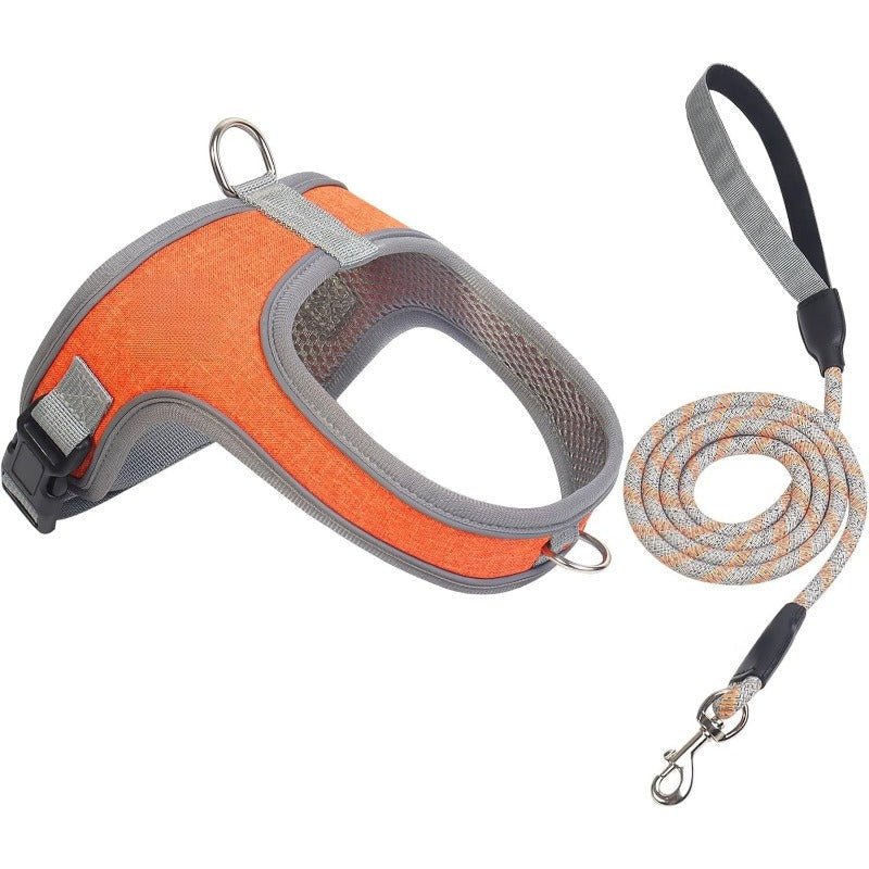 PawFlex Dog Harness | No Pull, Breathable, Adjustable for Comfort 9