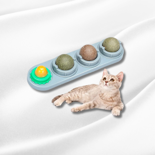 Cat Wall Ball