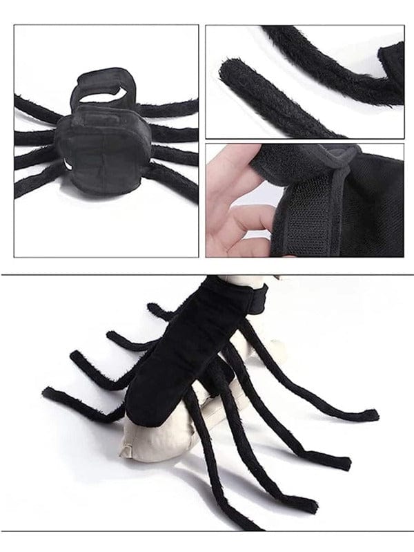 Glizm Halloween Halloween Dog Spider Costume 20$ TODAY ONLY