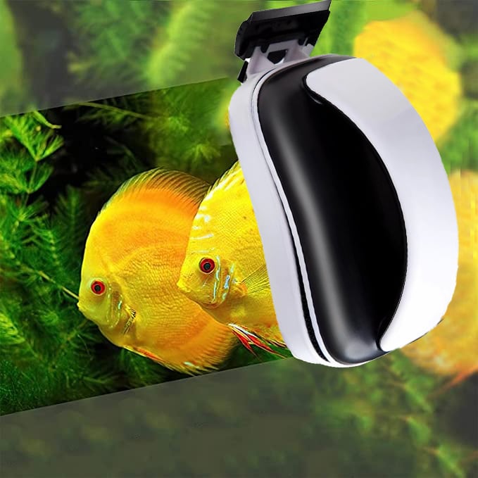 Akvarieskrape