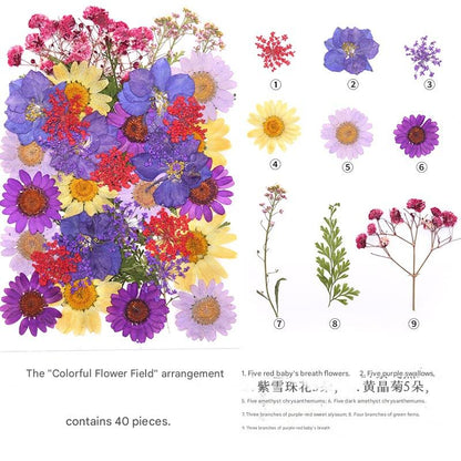 Springtime in Full Bloom™ — ストレスを溶かし、隠れた創造力に火をつける