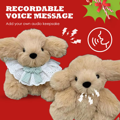 Festira — DIY Christmas Plush Doll Kit with Voice Recorder