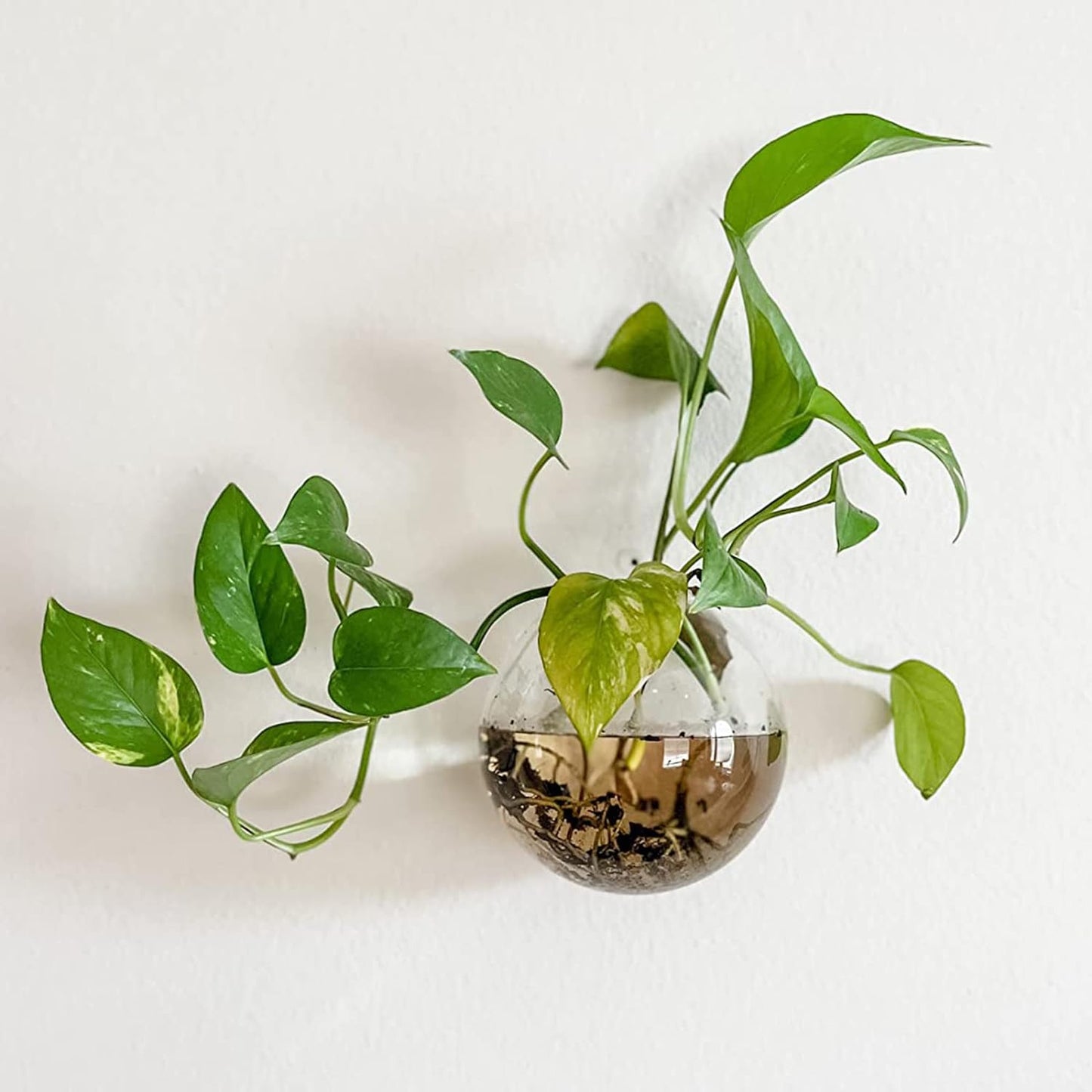 VertaLuxe™ Wall Bloom — Turn Any Wall into a Vibrant Oasis of Calm and Energy