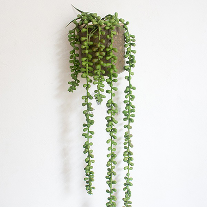 Zynexil™-French Moss Wall Hanging Plant Decoration