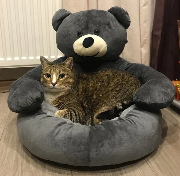 CloudCuddle™ — Tekerd körbe macskádat megnyugtató kényelemben a mély, szorongásmentes pihenésért