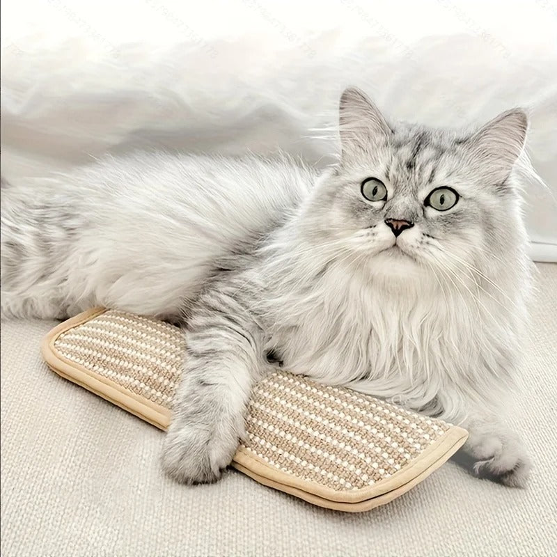 ChewProof Cat Toy™ — Αφήστε τη γάτα σας να παίζει άγρια χωρίς να καταστρέφει τίποτα