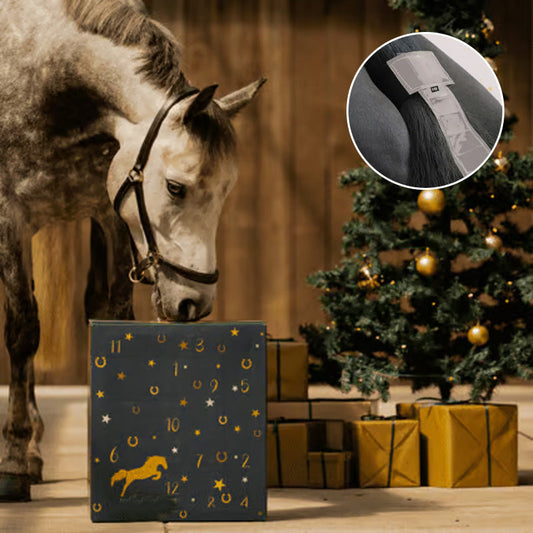 Forelock and Fringe Advent Calendar 25$ TODAY ONLY