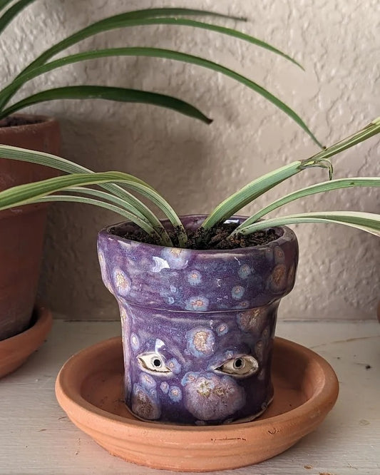 Crying Flower Pot 25$ TODAY ONLY