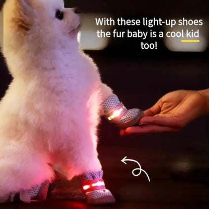 LED Dog Boots™ — Proteção Corajosa para Patas que Ilumina Cada Aventura