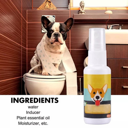 Pet Potty Training Spray 15$ TODAY ONLY