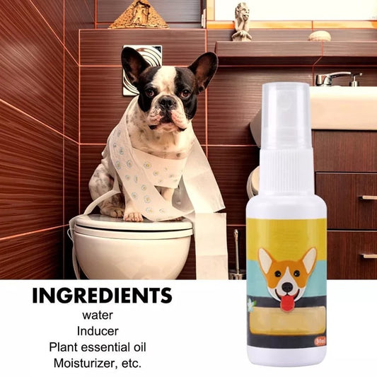 Pet Potty Training Spray 15$ TODAY ONLY