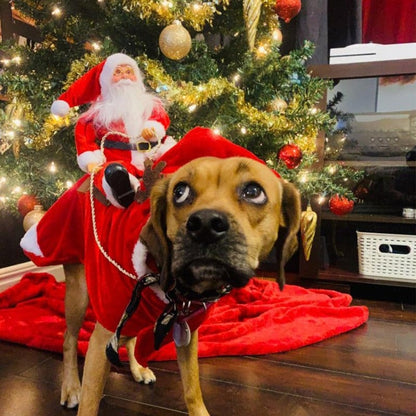 Fydro — Fantasia de Cachorro de Natal Macia com Ajuste Regulável