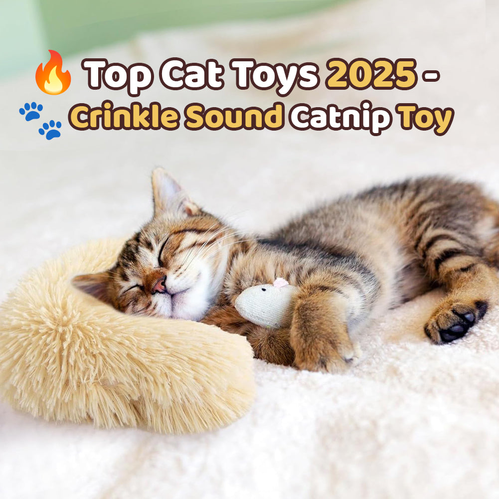 Catnip Crinkle Chase™ — Transform Bored Cats into Playtime Fanatics Instantly