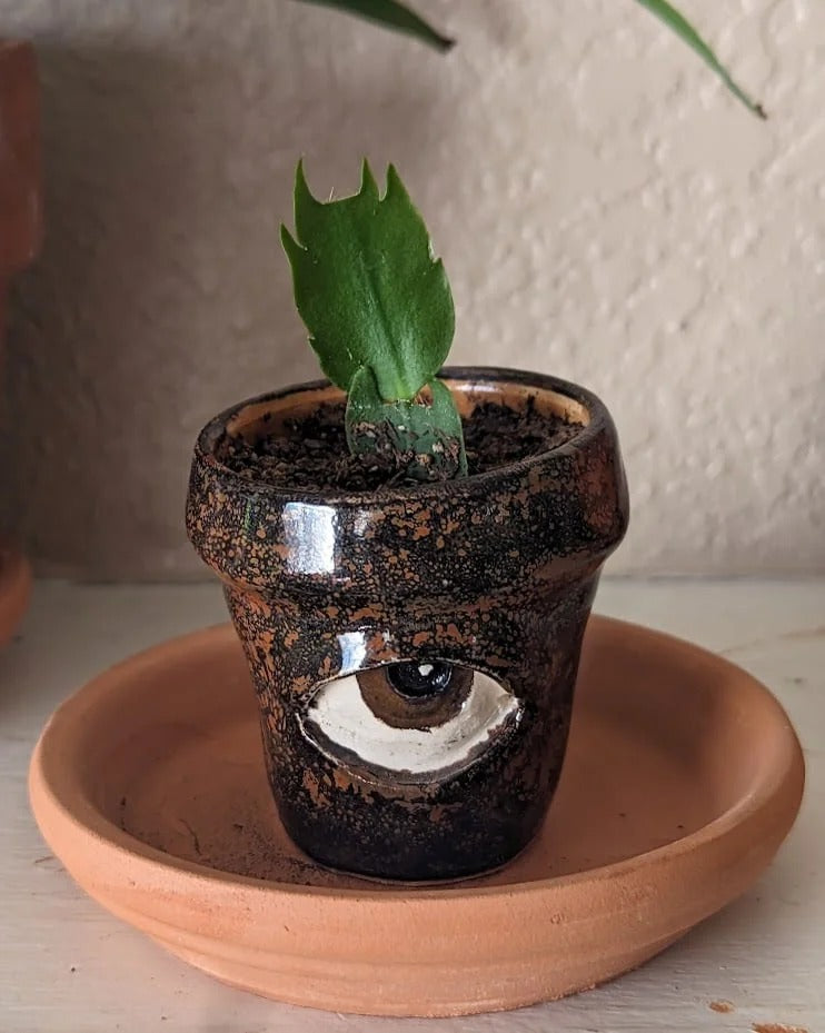 Crying Flower Pot 25$ TODAY ONLY