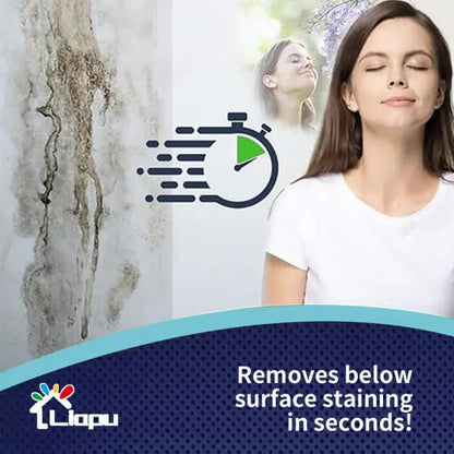 Mould Removal Spray 10$ TODAY ONLY