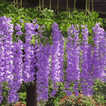 Lifelike Wisteria™ — 手軽に鮮やかな優雅さを持続させ、どんな空間も変える