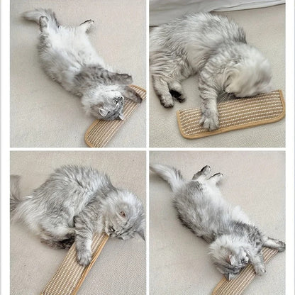 Zynora Cat Teething Pillow & Scratching Toy