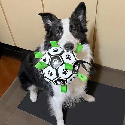 Footprint dog ball™ — Unleash Nonstop Play & Joy That Lights Up Every Tail Wag