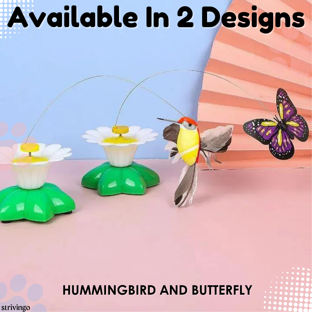 Rotating Cats Toy – GLIZM