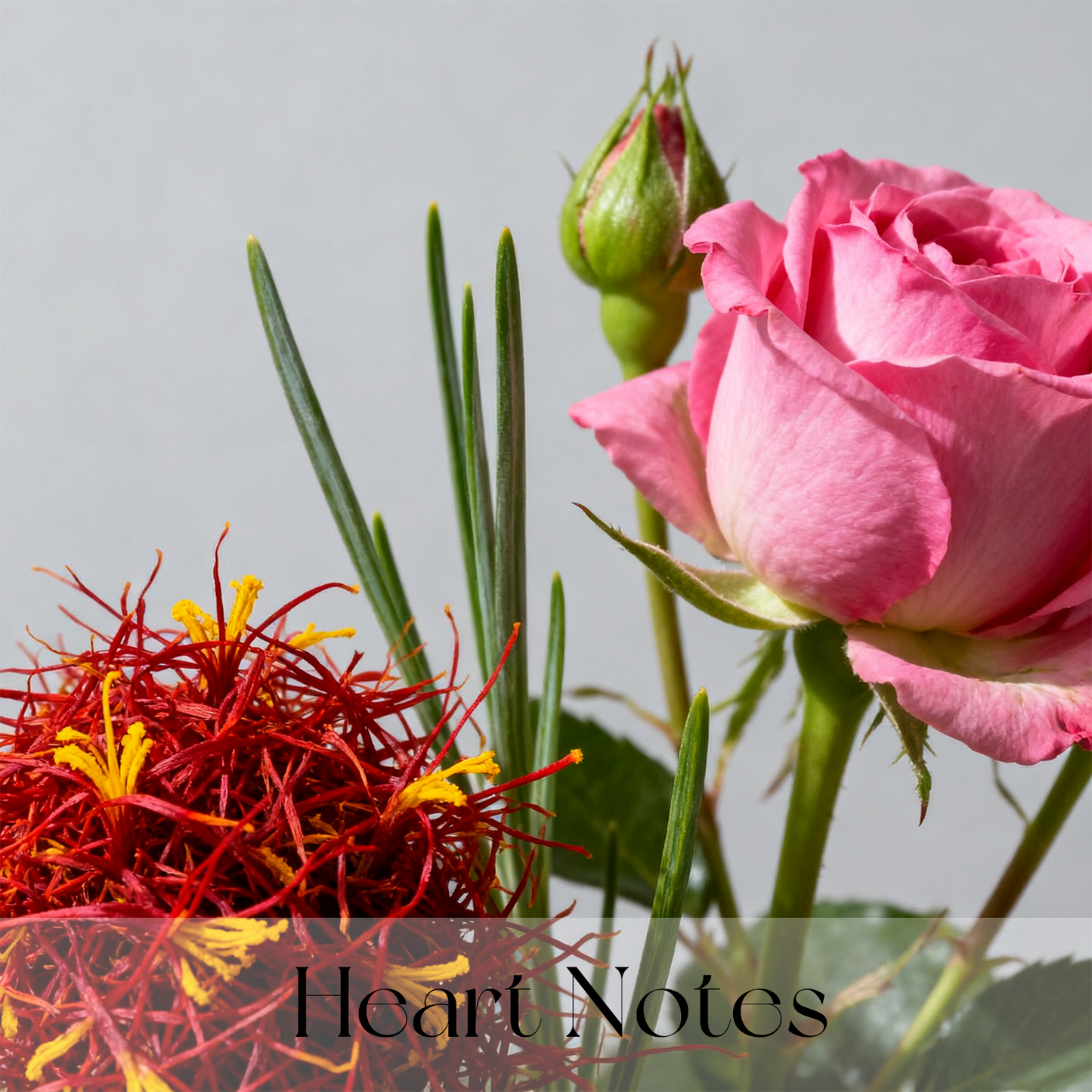 Honey Oud Perfume™ — Sweet Honey Meets Deep Oud in a Timeless Unisex Fragrance