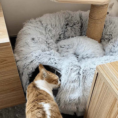 CatHaven™ — Unleash Boundless Play and Ultimate Cozy Comfort