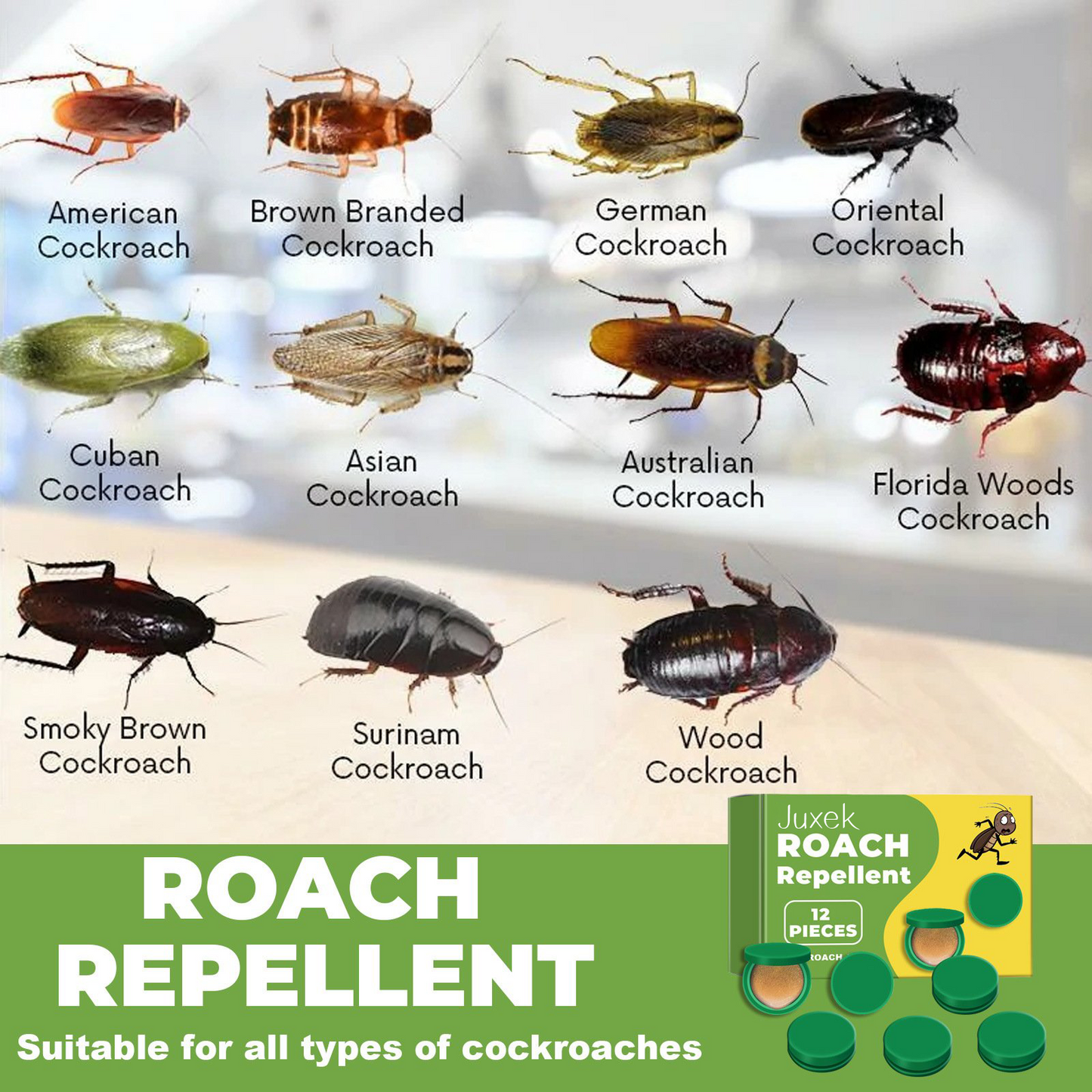 VexiGuard™ — Crush Roaches Forever and Reclaim Your Peaceful Home