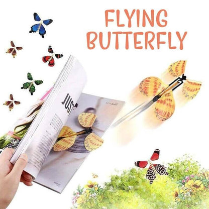 Magic Flying Butterflies 7$ TODAY ONLY