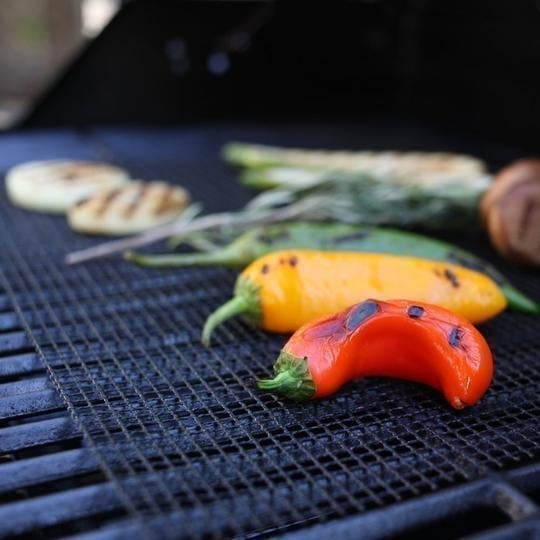 GrillGuard™ — Master Perfect, Juicy Meals Without the Sticky Mess