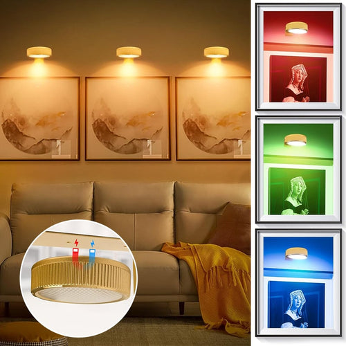 Wall Picture Lights