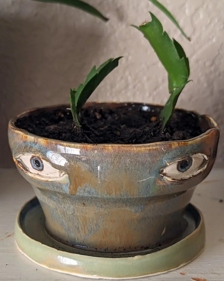 Crying Flower Pot 25$ TODAY ONLY