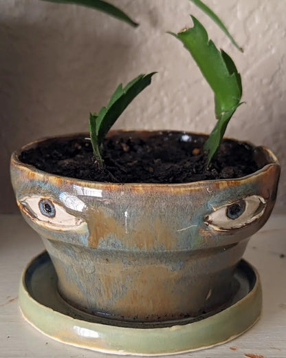 Crying Flower Pot 25$ TODAY ONLY