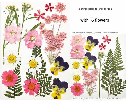 Springtime in Full Bloom™ — ストレスを溶かし、隠れた創造力に火をつける