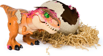 Rylanzo — Interactive Baby Dinosaur Toy with Hatching Egg and Sounds