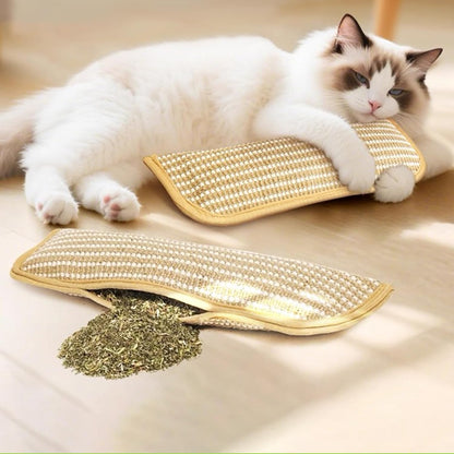 ChewProof Cat Toy™ — Αφήστε τη γάτα σας να παίζει άγρια χωρίς να καταστρέφει τίποτα