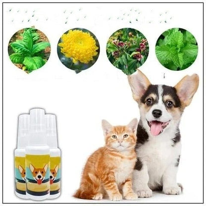 Pet Potty Training Spray 15$ TODAY ONLY