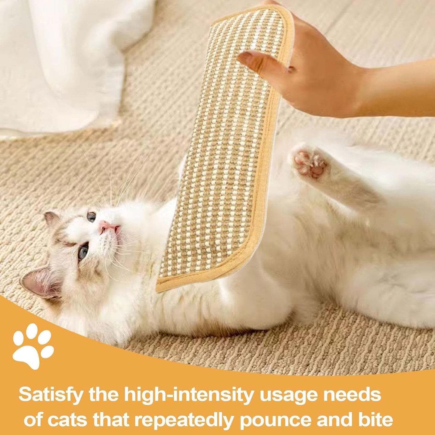 ChewProof Cat Toy™ — Αφήστε τη γάτα σας να παίζει άγρια χωρίς να καταστρέφει τίποτα