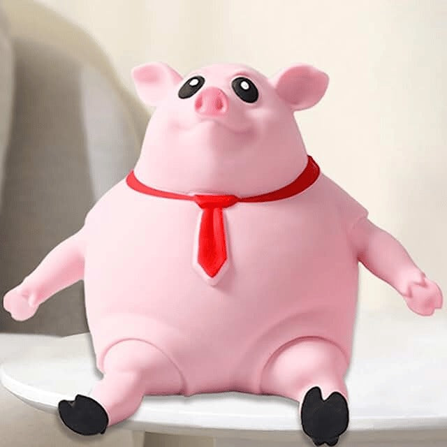 Pink Piggy Toy 15$ TODAY ONLY