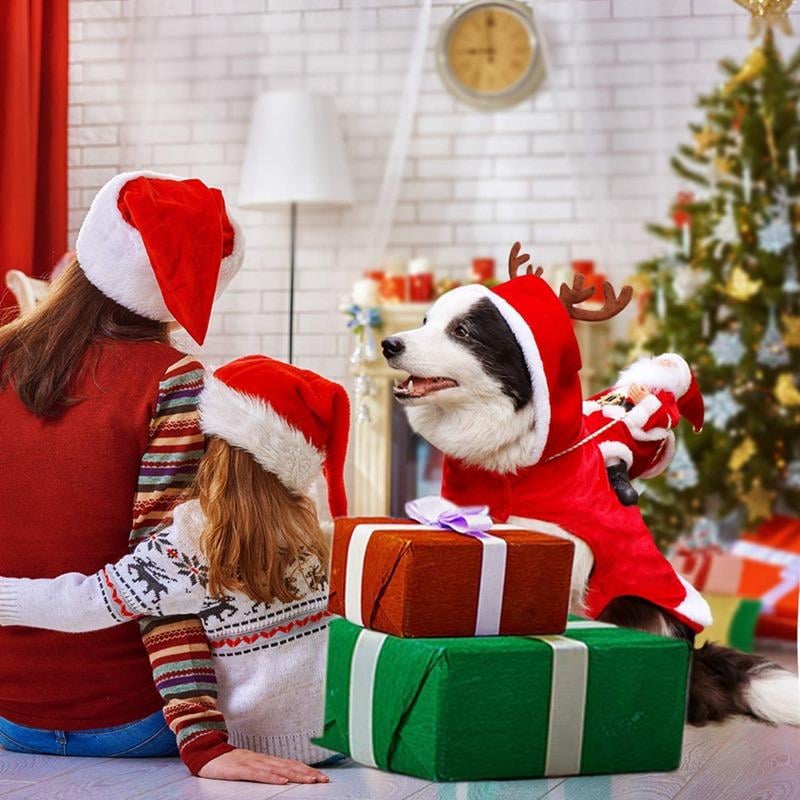 Fydro — Fantasia de Cachorro de Natal Macia com Ajuste Regulável