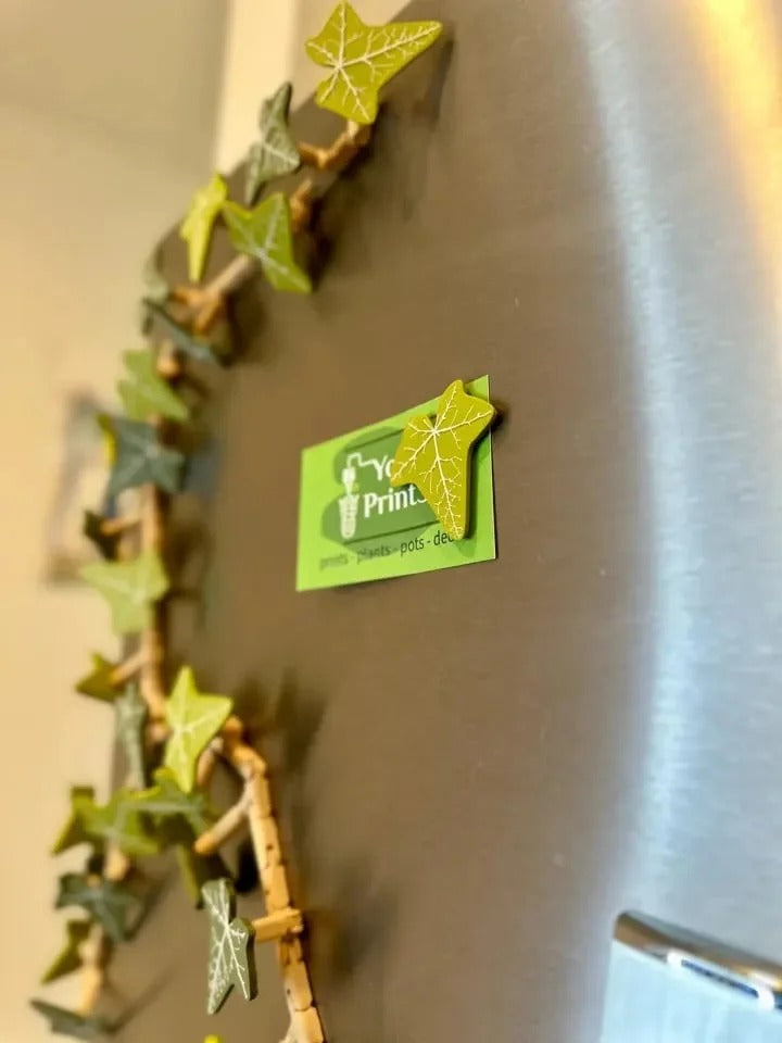 Ivy Fridge Magnets Vine 10$ TODAY ONLY