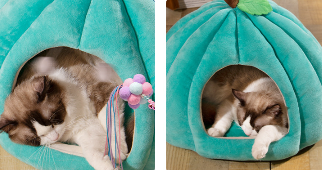 WarmNest™ — Transform Your Pet’s Chill into Cozy, Stress-Free Comfort