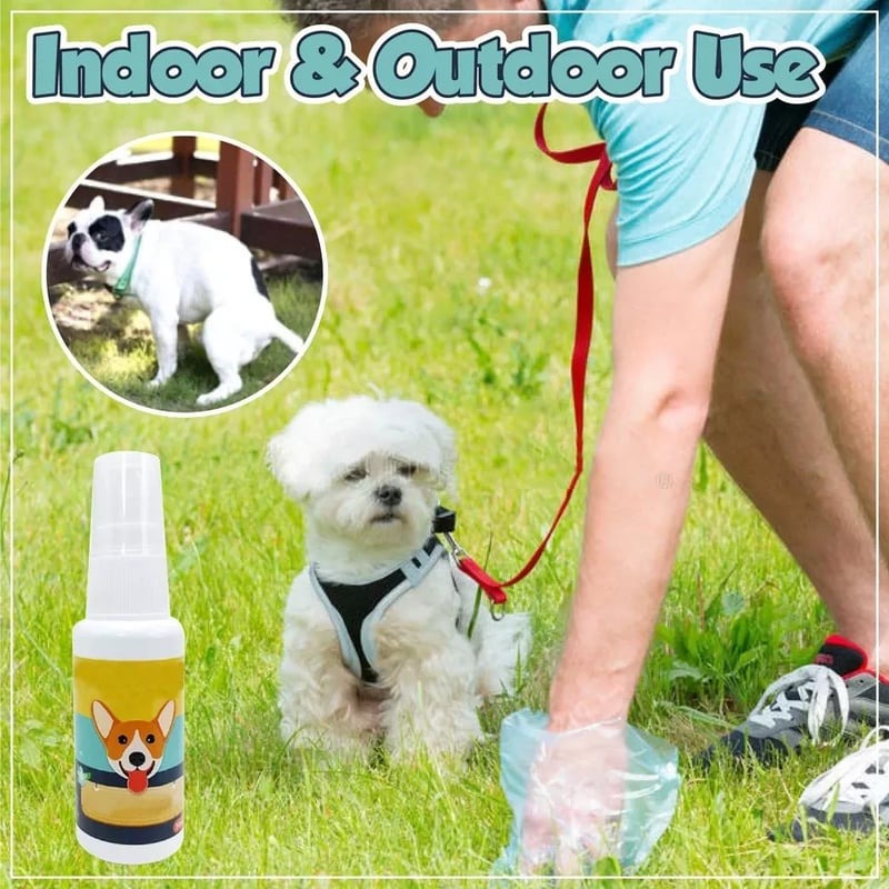 Pet Potty Training Spray 15$ TODAY ONLY