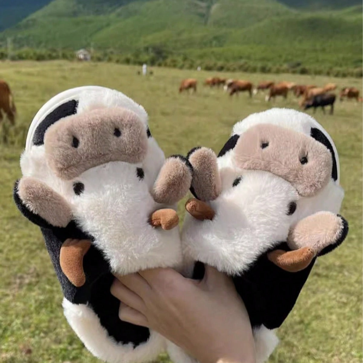 Cow Cotton Slippers 10$ TODAY ONLY