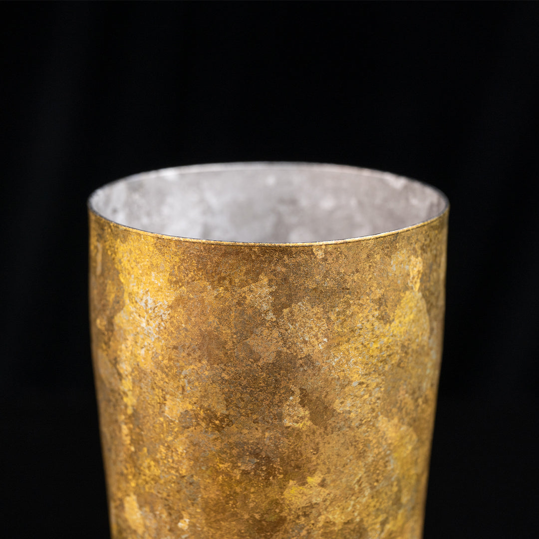 Ardentis — Titanium Double-Wall Insulated Cup with Spill-Resistant Lid