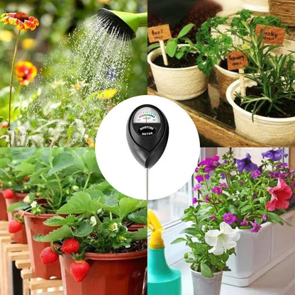 Bene Soil Moisture Meter | Battery-Free, Easy to Use, For Plants 5
