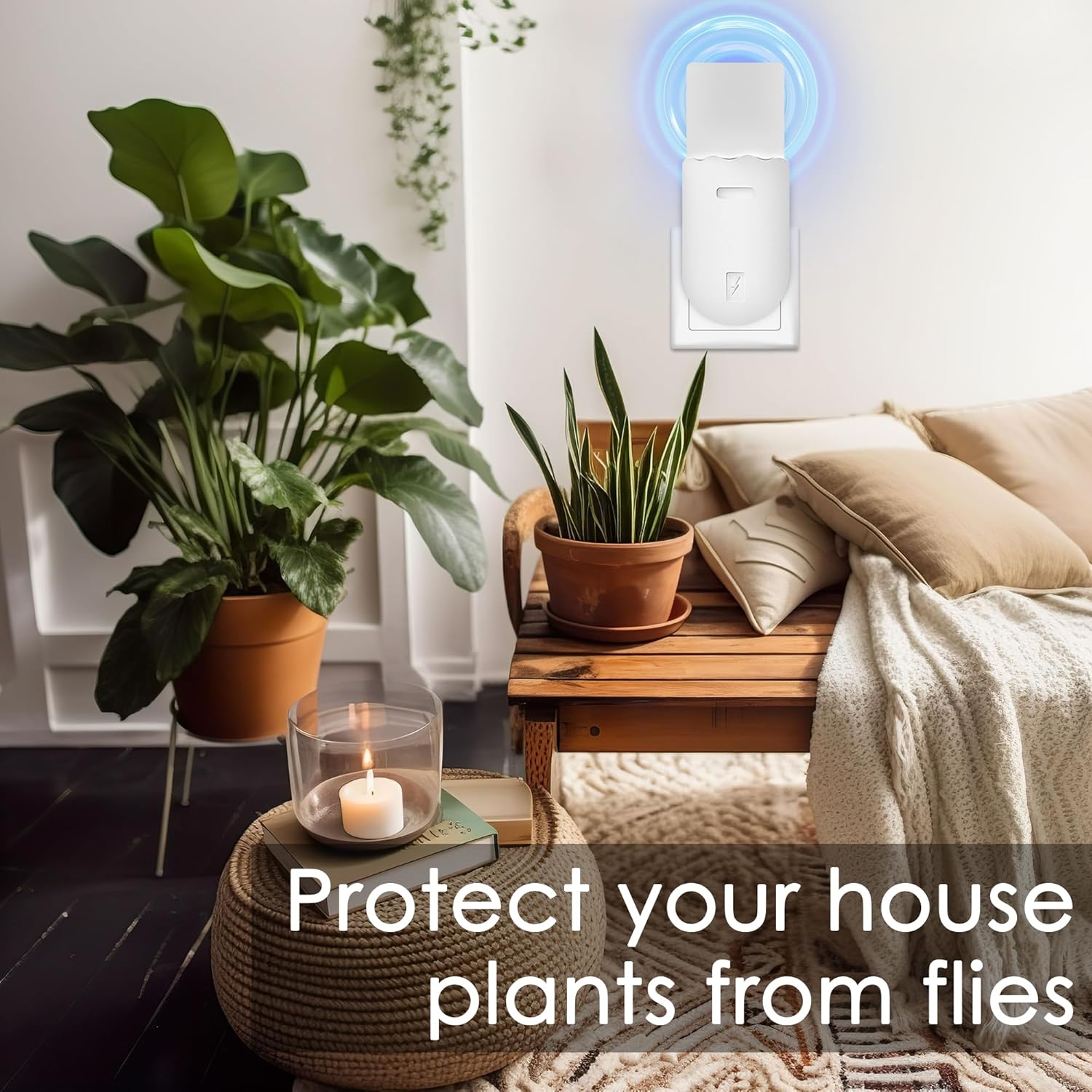 Breeze Bug Trap | Non-Toxic Indoor Fly Killer with Dual Action Technology 6