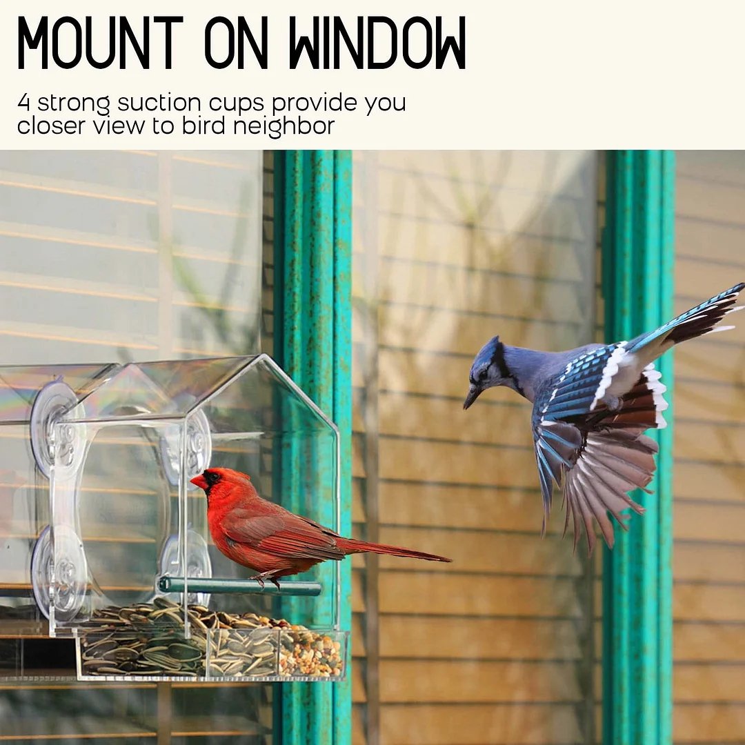 Breezy Bird Feeder | Window-Mounted, Clear Acrylic 1