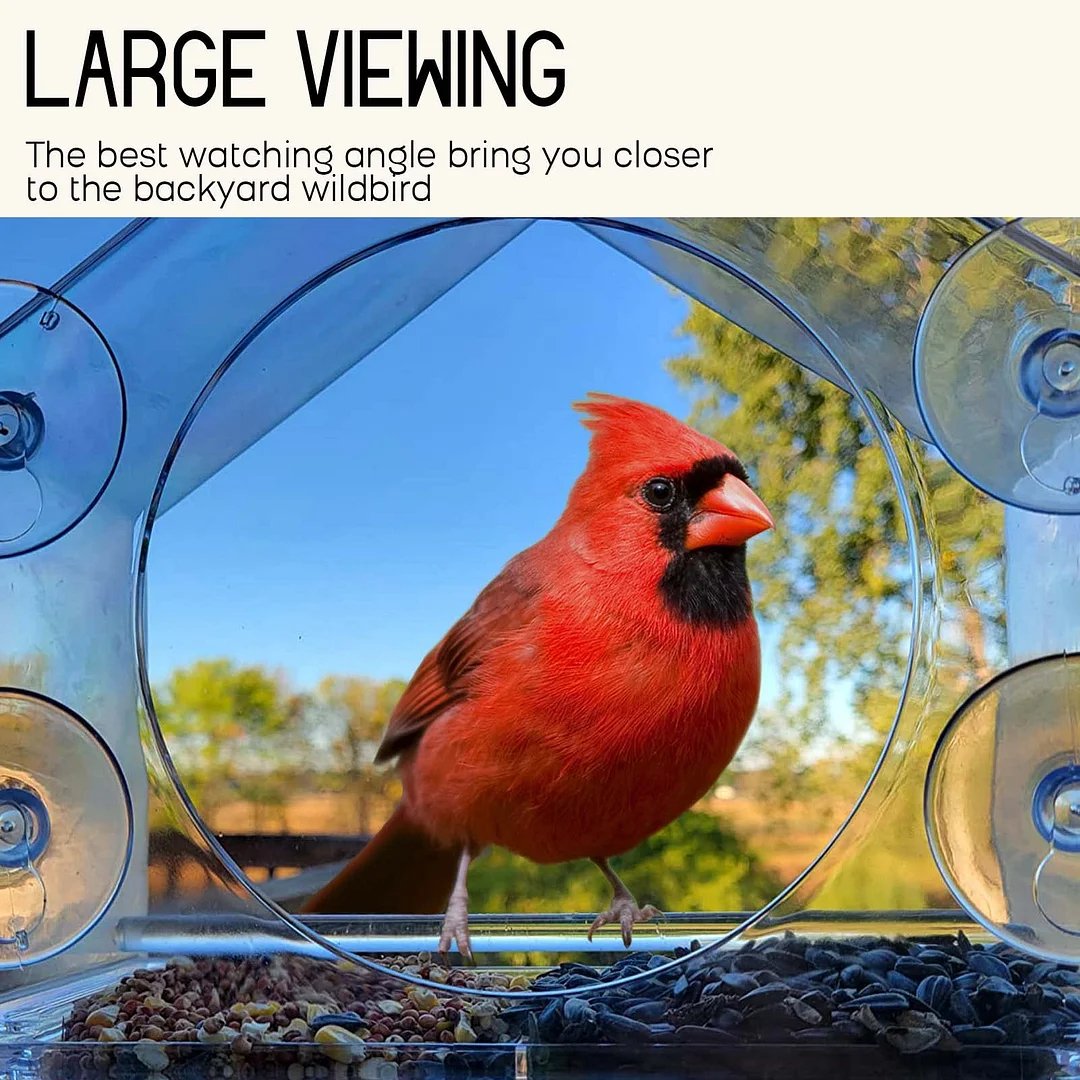 Breezy Bird Feeder | Window-Mounted, Clear Acrylic 2